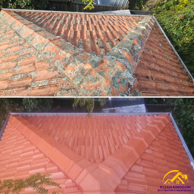 Heavy lichen and moss stripped from this terracotta roof in East Lindfield — cleaned and glazed back to a rich natural red by Klean Kingdom Before and after terracotta roof clean and glaze in East Lindfield, Sydney, removing lichen and moss buildup
